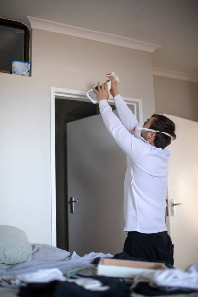 Best Mold Documentation for Insurance Claims  in Mount Carmel, PA