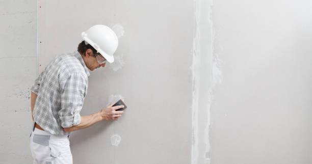 Mold Removal for HVAC Installations in Mount Carmel, PA