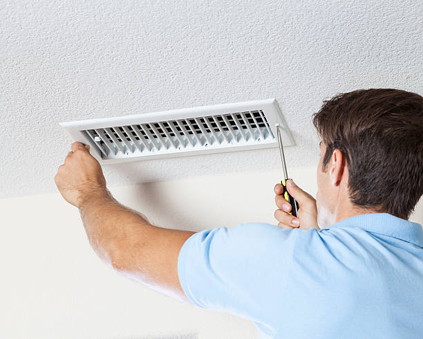 Asbestos and Lead Testing During Mold Inspection in Mount Carmel, PA