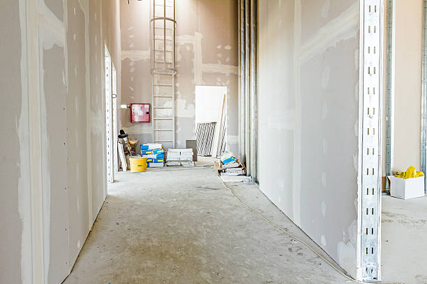 Best Real Estate Mold Inspection  in Mount Carmel, PA